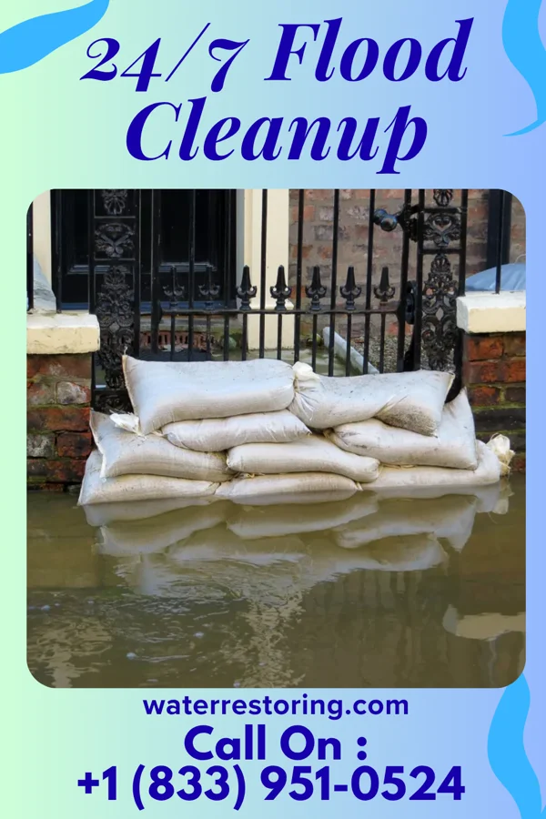 24/7 Flood Cleanup in Dock Junction, GA