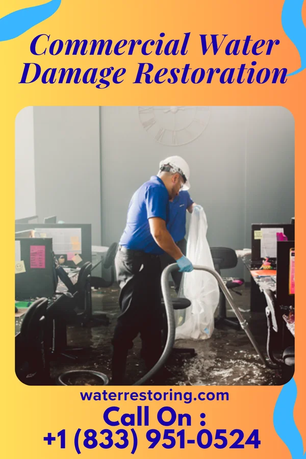 Commercial Water Damage Restoration in Dock Junction, GA