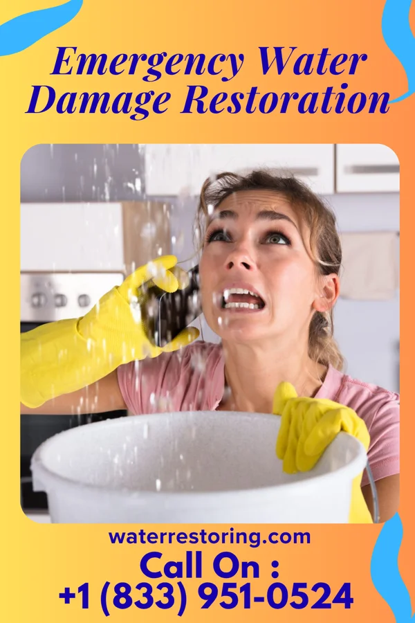 Emergency Water Damage Restoration in Dock Junction, GA
