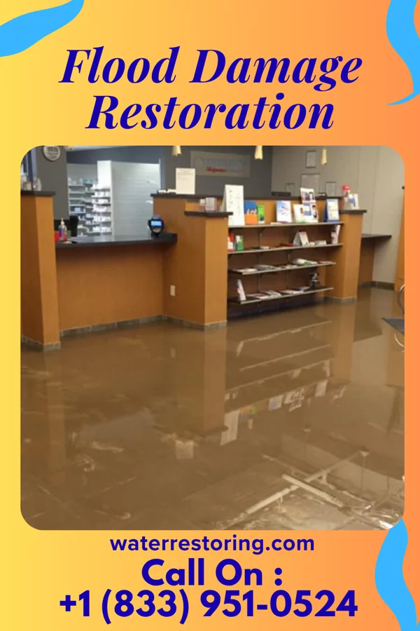 Flood Damage Restoration in Dock Junction, GA