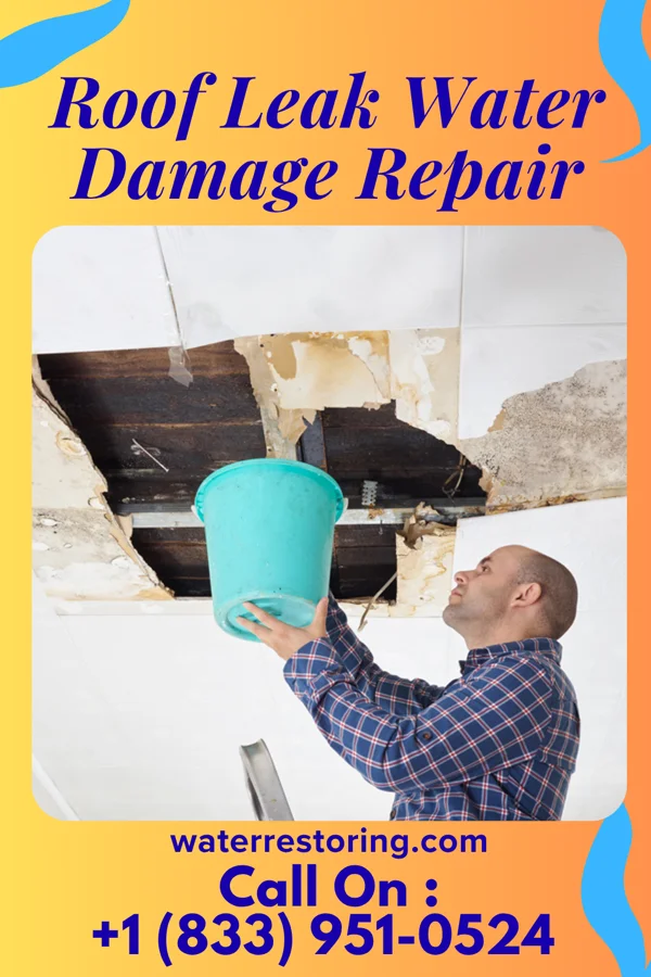 Roof Leak Water Damage Repair in Dock Junction, GA