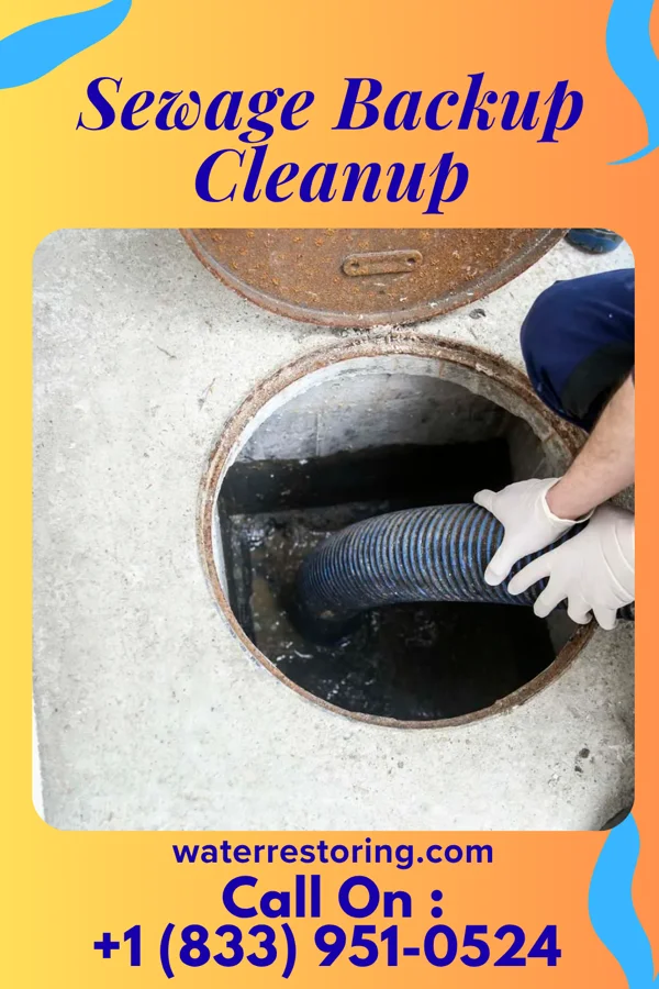 Sewage Backup Cleanup in Dock Junction, GA