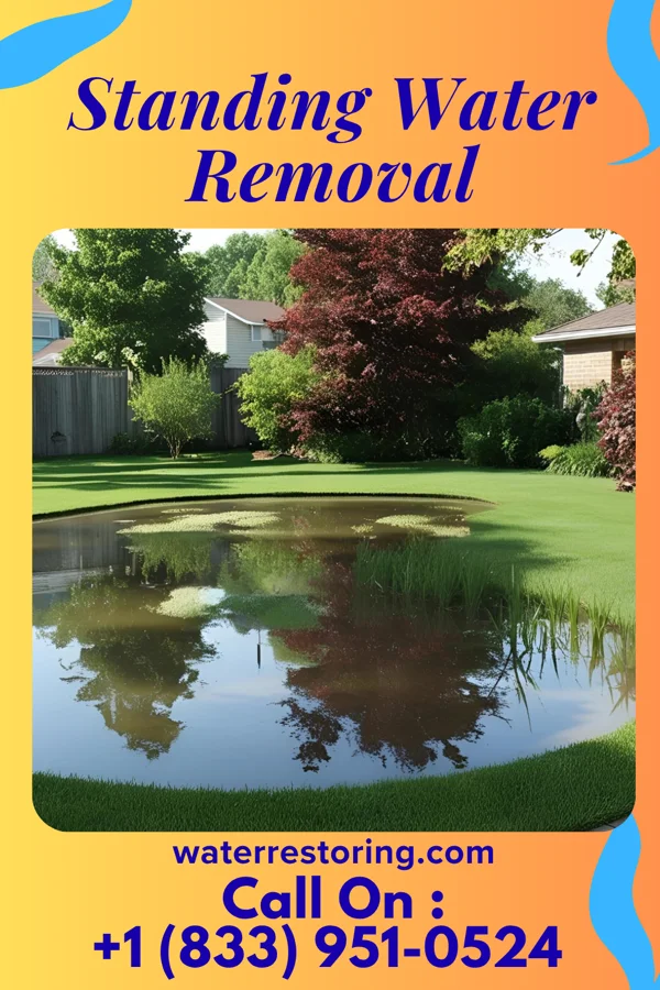Standing Water Removal in Dock Junction, GA